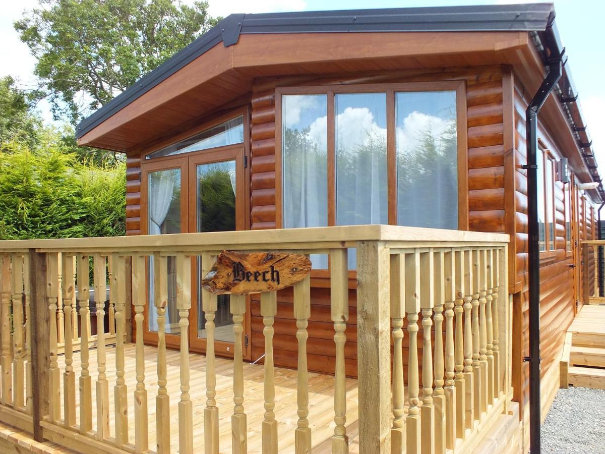 Beech Villa Swanage Exteriör bild
